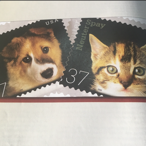 久久semm亚洲国产
