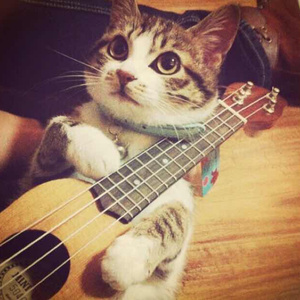 久久semm亚洲国产
